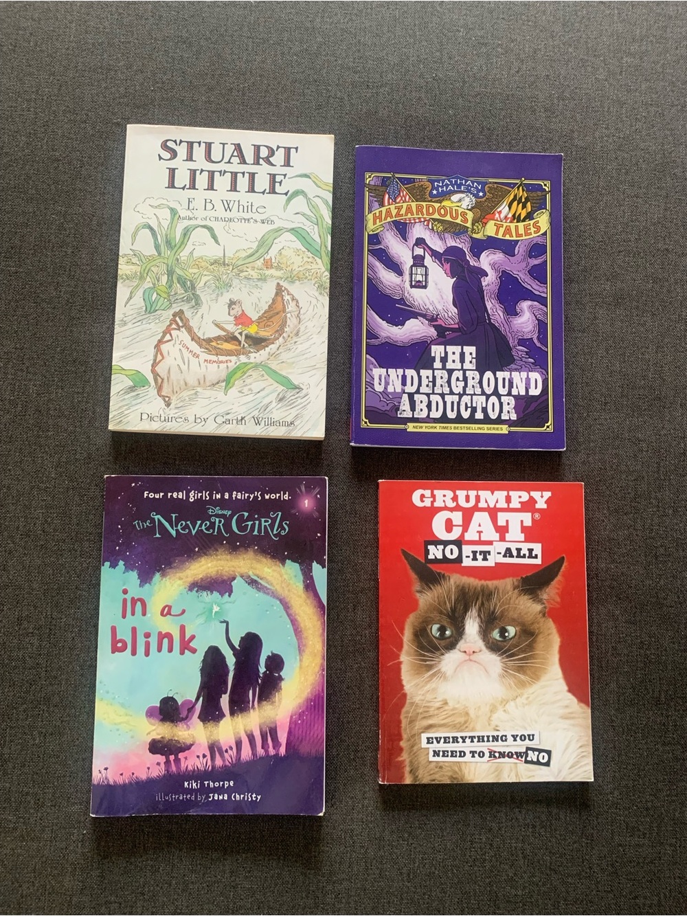 Stuart Little, The Underground Abductor, The Never Girls In A Blink, Grump Cat